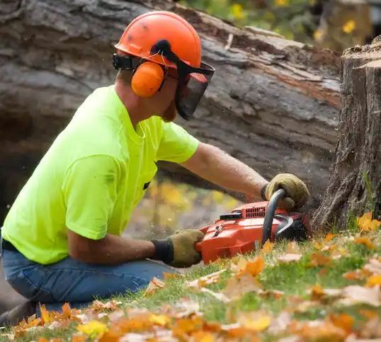 tree services Avalon